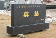 ɽ�|��ꖺ��վ�(xi��ng)Ŀ