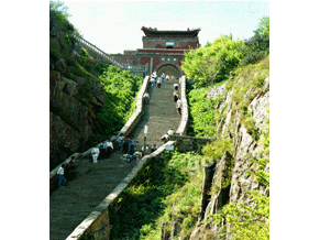 ̩ɽ�����T